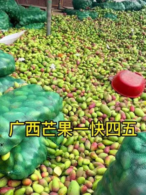 從枝頭到舌尖 百色金煌芒，新鮮應季的優(yōu)質農(nóng)產(chǎn)品