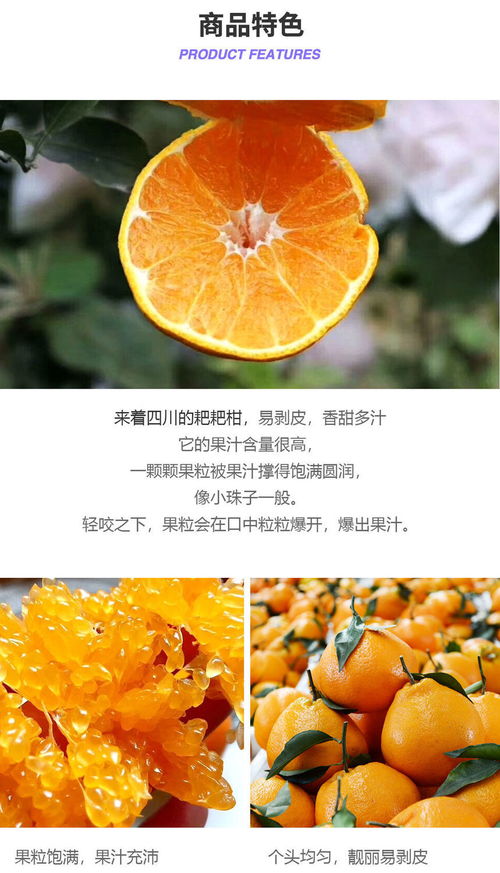 春見(jiàn)耙耙柑 來(lái)自四川的甜蜜問(wèn)候
