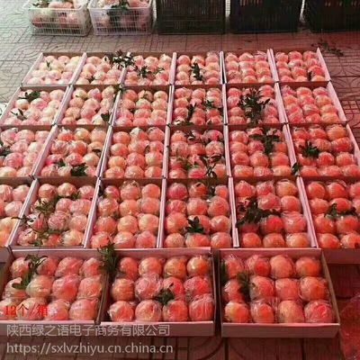 陜西臨潼石榴 紅心軟籽，新鮮直達(dá)的美味與商機(jī)